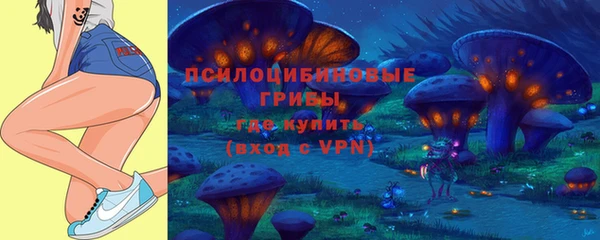 прущая мука Арсеньев